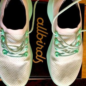 Allbirds men’s tree dashers in Neptune color.